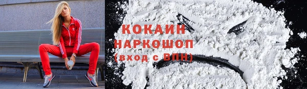 стаф Покровск