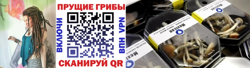 Псилоцибиновые грибы ЛСД  даркнет сайт  Семилуки 