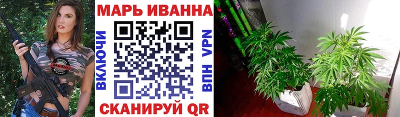 Каннабис THC 21%  хочу   кракен ссылки  Семилуки 